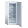 WINSTAR SFS 170 W Καταψύκτης Όρθιος