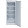 WINSTAR SFS 170 W Καταψύκτης Όρθιος