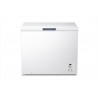 Hisense FC321D4AWLE Καταψύκτης Μπαούλο
